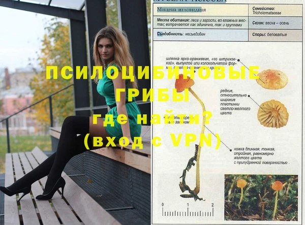 мескалин Баксан