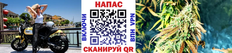 цена наркотик  Карачев  kraken сайт  Конопля Amnesia 